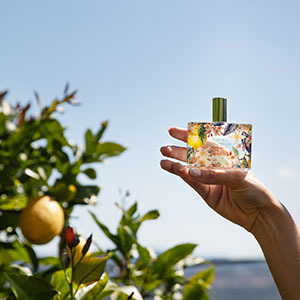 Fleur de Citronnier
