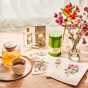 Palais des Thés Fragonard 