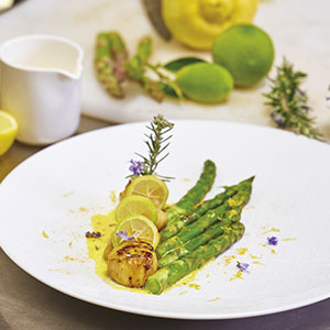 Gastronomia