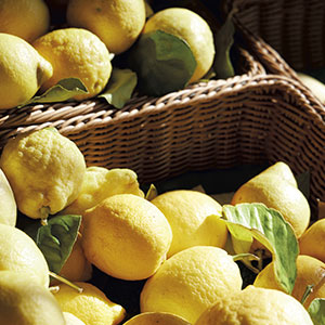 Panier de Citrons