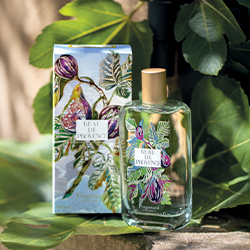Beau de Provence