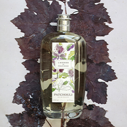 PATCHOULI