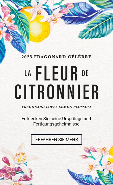 Citronnier Événement - Fragonard