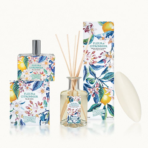Briochin Seifenblume Handseife 400 Ml – Bio-Zitrone & Honig, COSMOS Zertifiziert