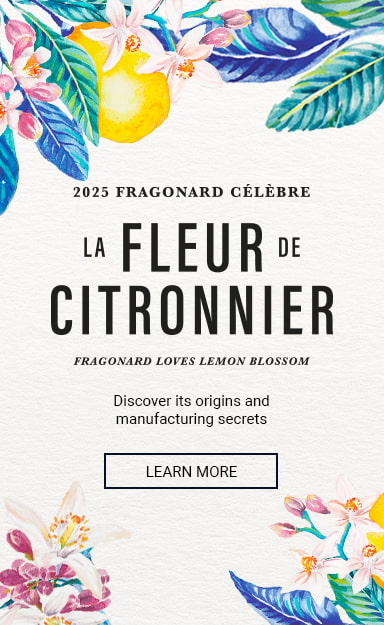 Citronnier Événement - Fragonard