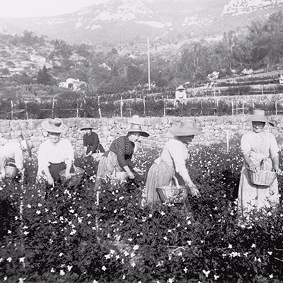 100 years of perfumes