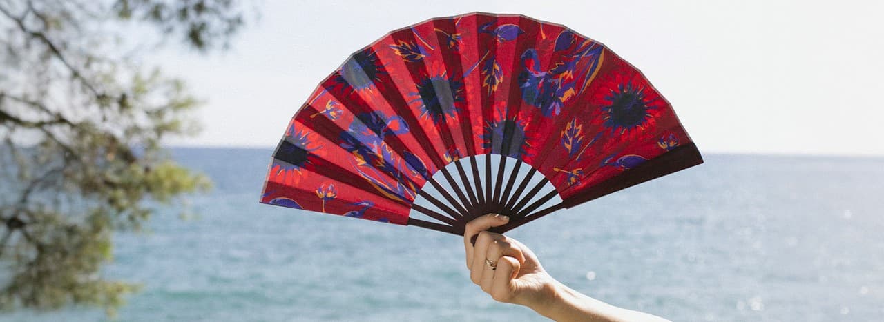 FAN AND GLASSES CASE