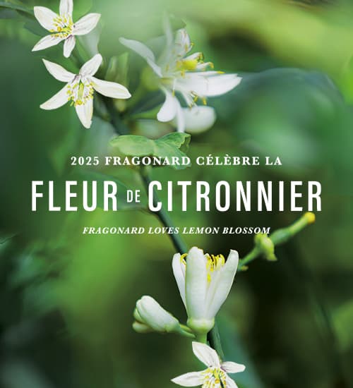 Fleur de l'année Citronnier 2025