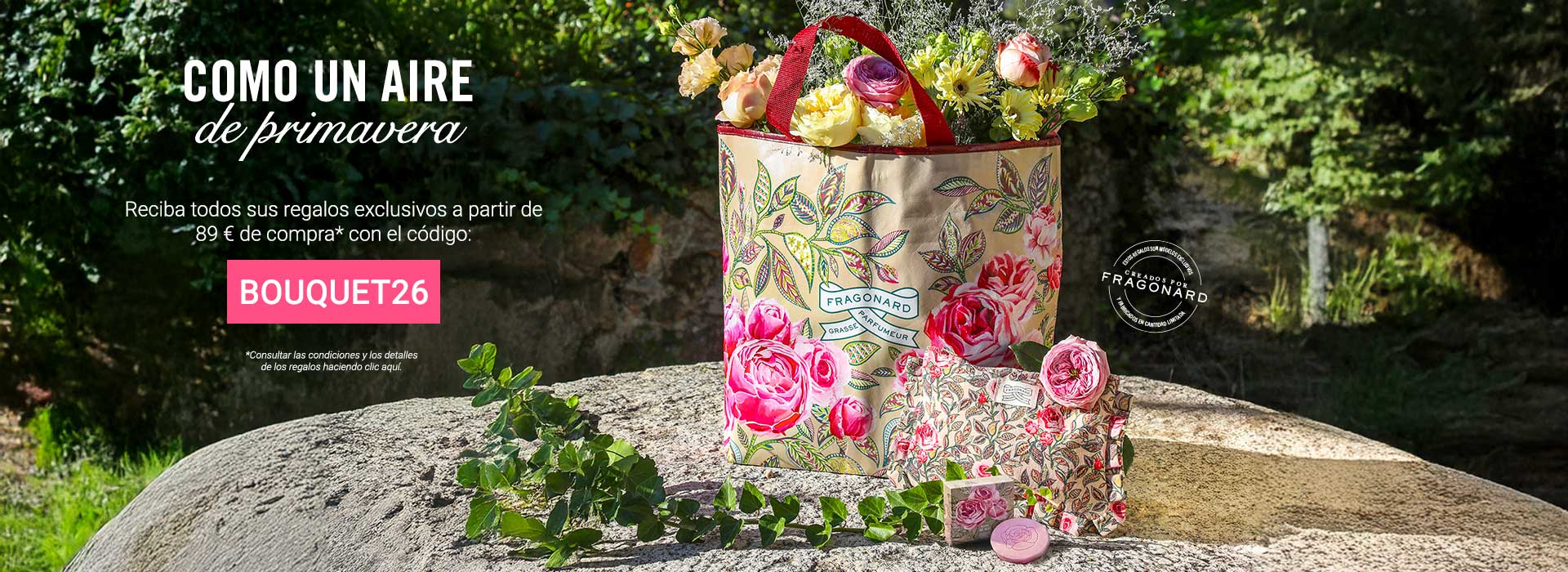 - EXCLUSIVIDAD WEB -