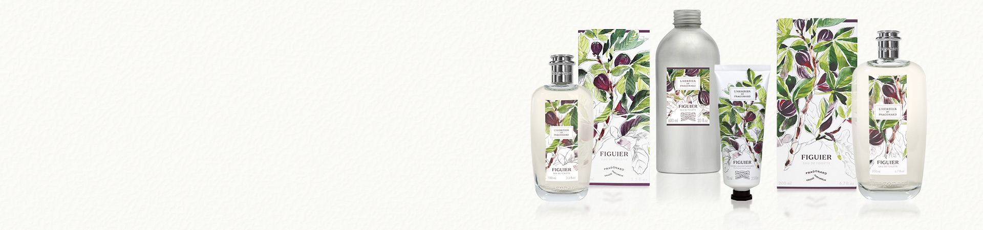 FIGUIER