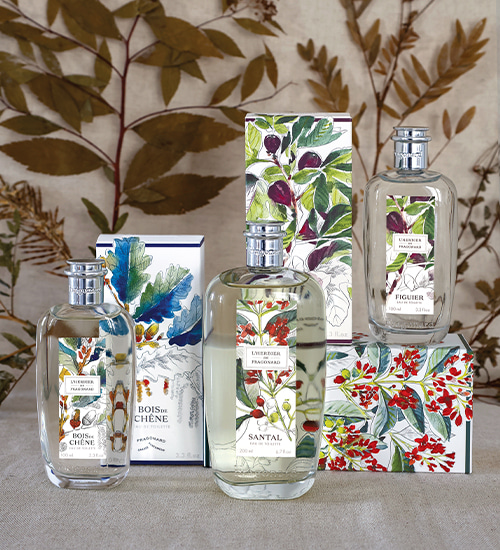 Perfumista en Francia | Perfume, Eau de Toilette para Mujer y