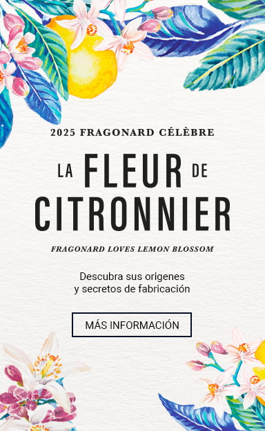 Citronnier Événement - Fragonard