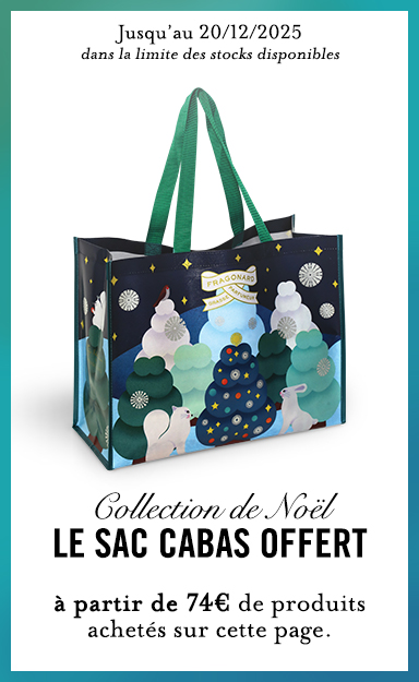 OFFRE CABAS NOEL 25 FR - Fragonard