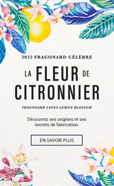 Citronnier Événement - Fragonard