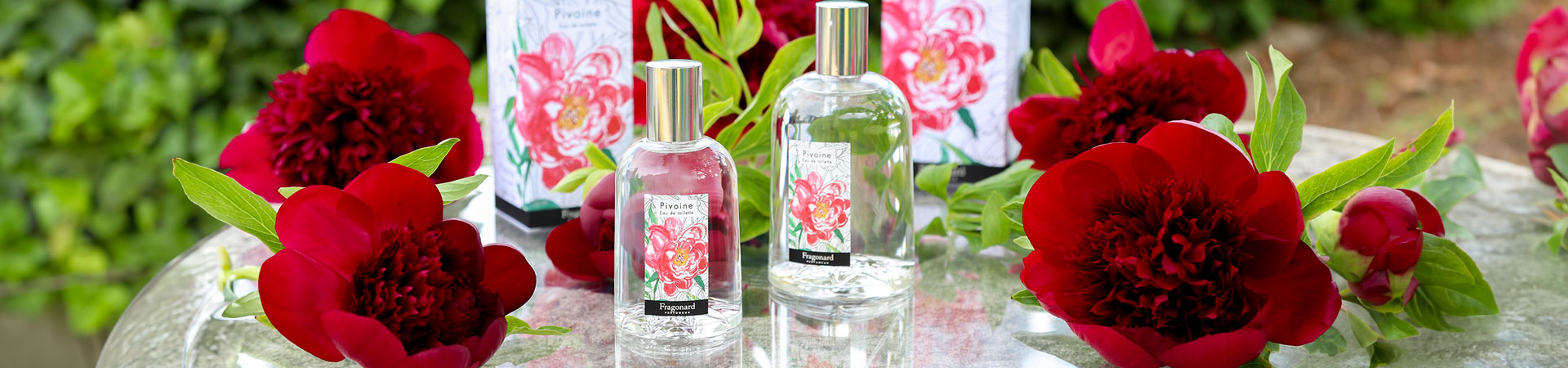 Idea regalo San Valentino