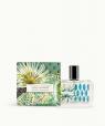 Santal Cardamome