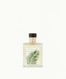 Coriandre Lemongrass