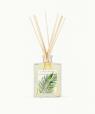 Coriandre Lemongrass