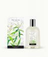 Verveine (Verbena)