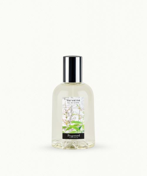 Verveine (Verbena)