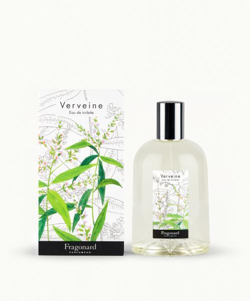 Verveine (Verbena)