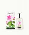 Rose de Mai (May Rose)