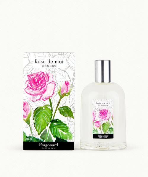 Rose de Mai (May Rose)
