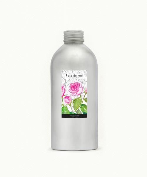 Rose de Mai (Rosa de Mayo)