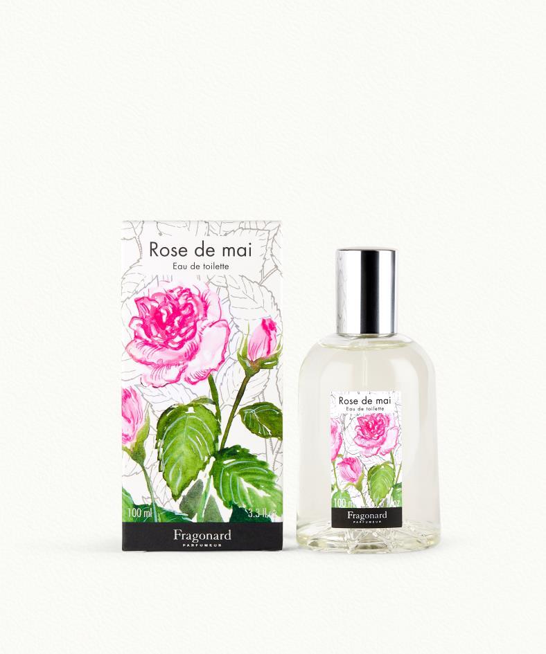 Rose de Mai (May Rose)