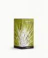 Vetiver (Vetiver)