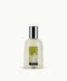 Vetiver (Vetiver)