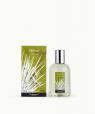 Vetiver (Vetiver)