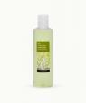 Vetiver