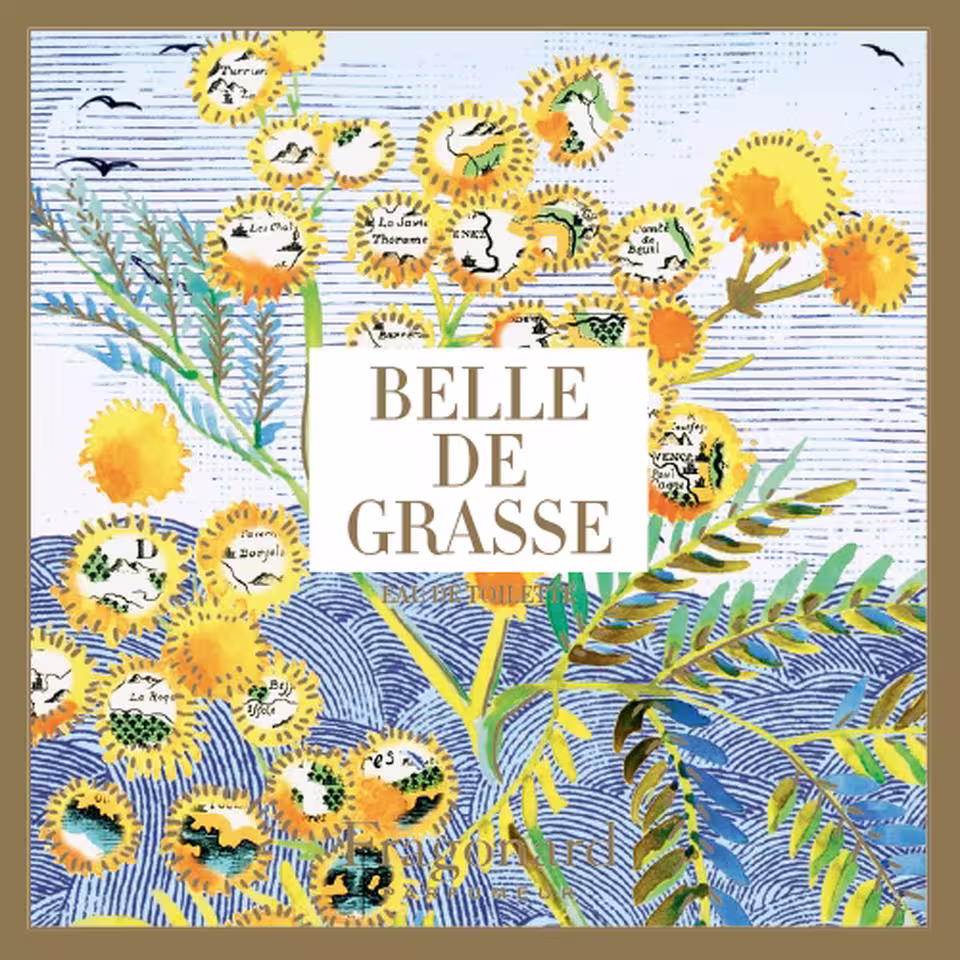 Belle de Grasse