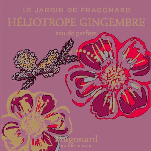 Heliotrope Gingembre