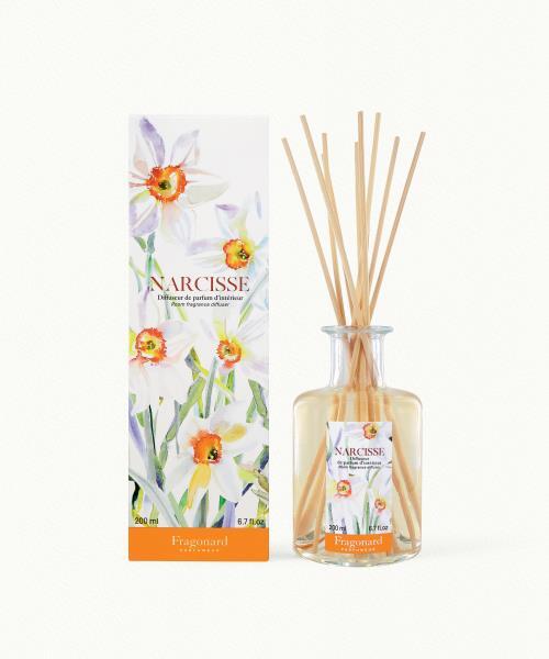 Narcisse