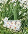 Set Seifen Narcisse