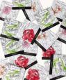 Set of 20 Perfumed Sachets