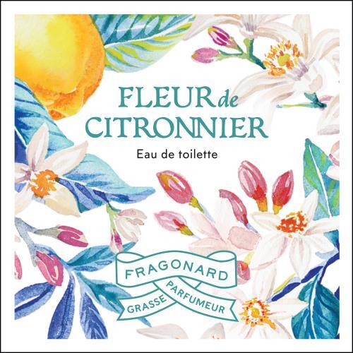 Fleur de Citronnier