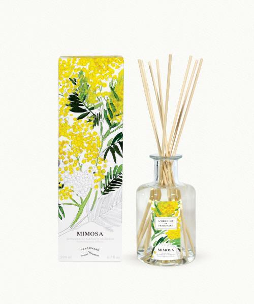 Mimosa - 37,00 €
