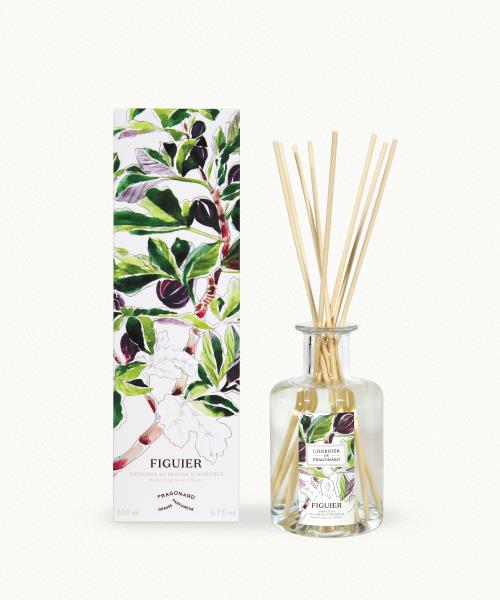 Figuier (Feigenbaum)