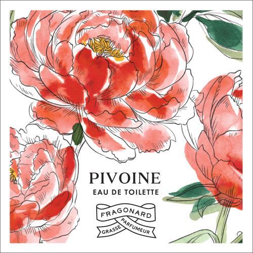 Pivoine