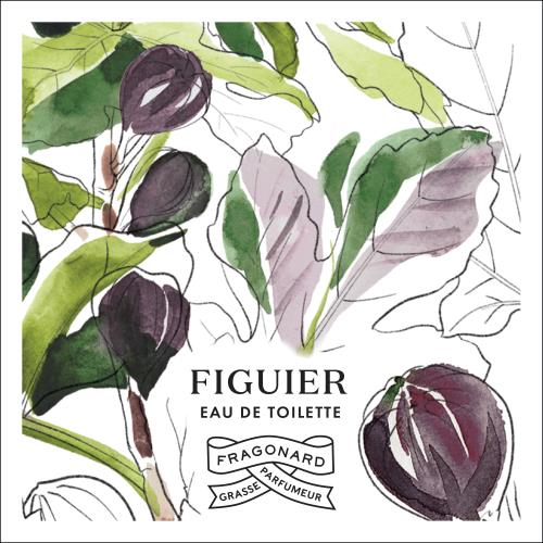 Figuier