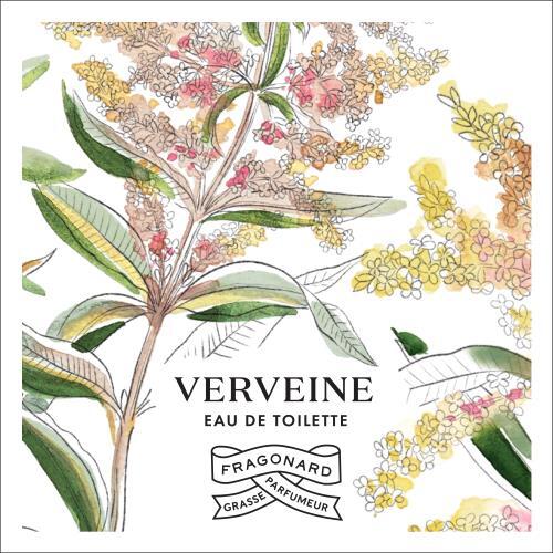 Verveine