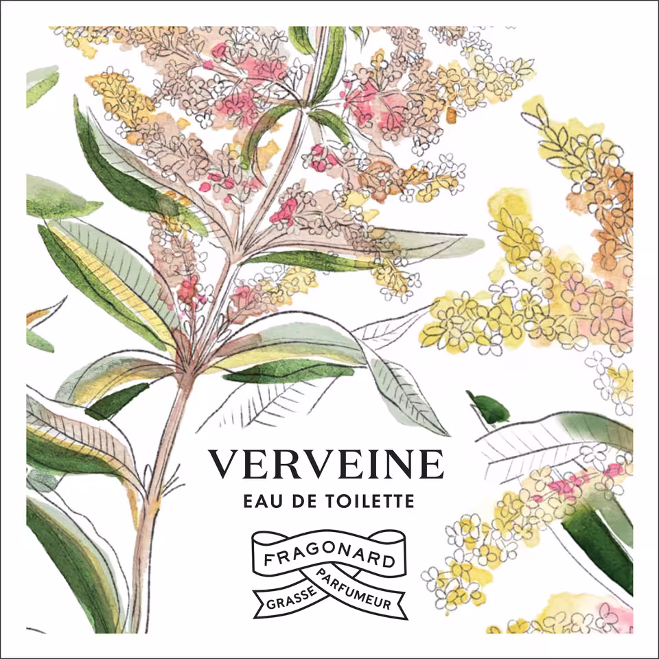 Verveine