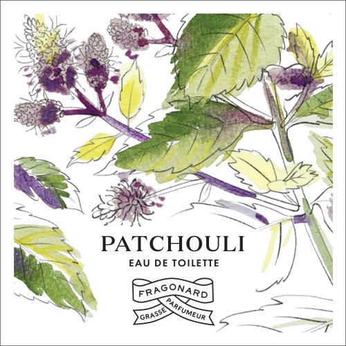 Patchouli