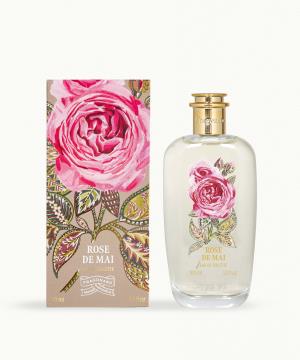 b_rose-de-mai-fragonard-rm-