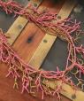 Collar Coral