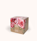 Rose de Mai (Rosa di Maggio)